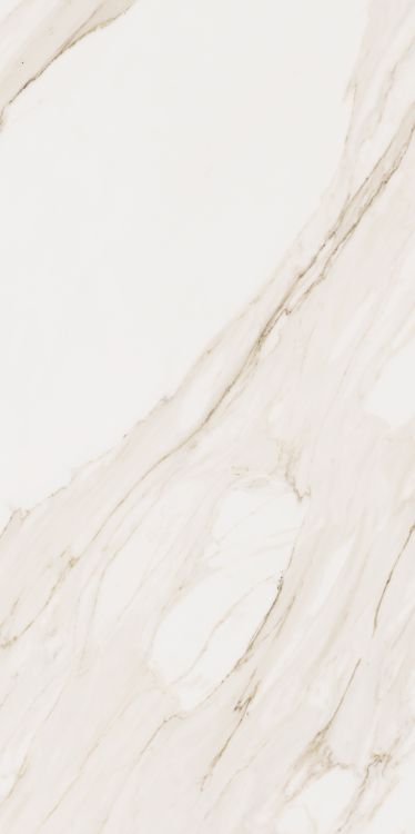 Omnia Calacatta Matte 24 x 48